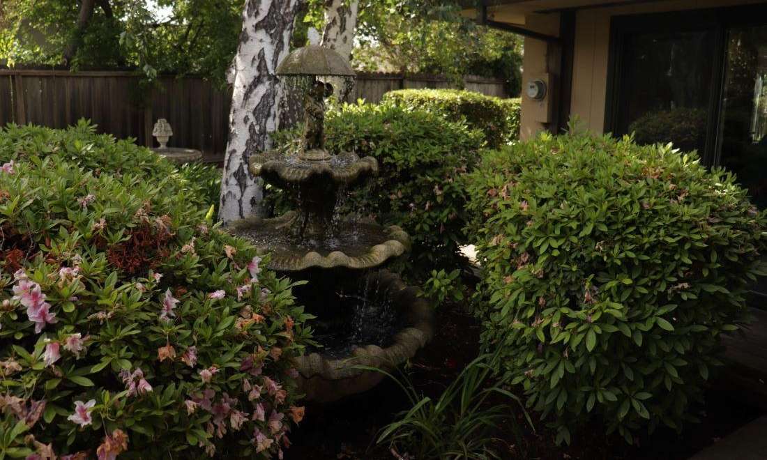 front entrance and garden | spruce dental sunnyvale ca